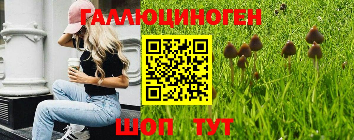 Красноармейск  Галлюциногенные грибы MAGIC MUSHROOMS  Вход с VPN 