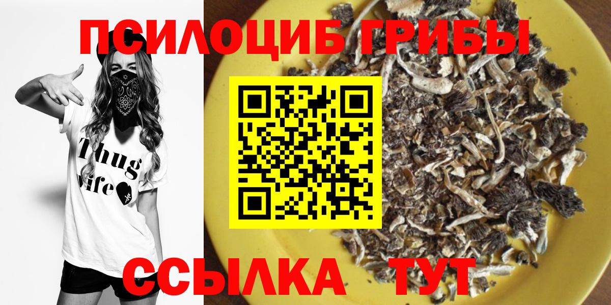 Псилоцибиновые грибы Cubensis Красноармейск