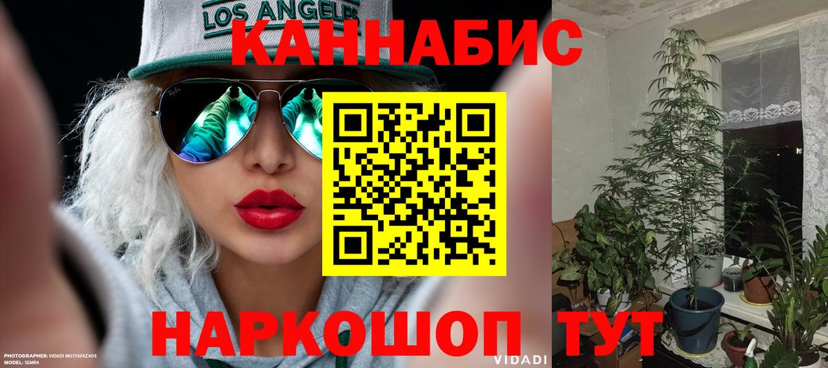 Каннабис индика Красноармейск